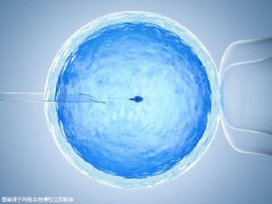 那里有正规供卵代孕
